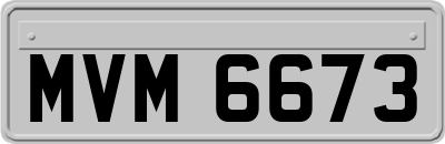 MVM6673