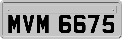 MVM6675