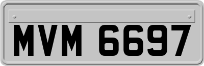 MVM6697