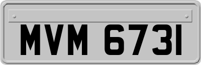 MVM6731