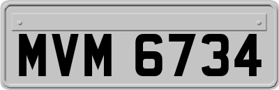 MVM6734