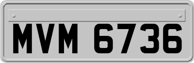 MVM6736