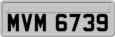 MVM6739