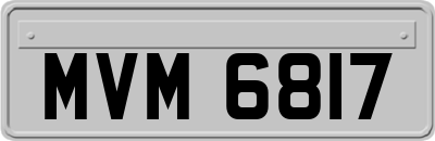 MVM6817