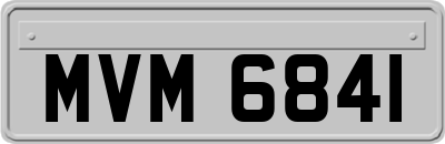 MVM6841