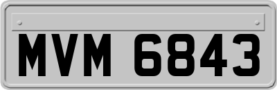 MVM6843