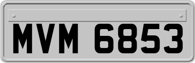 MVM6853