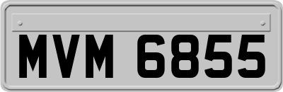 MVM6855