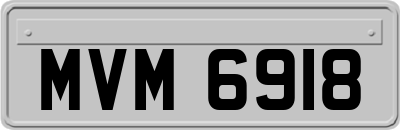 MVM6918