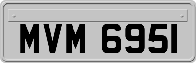 MVM6951