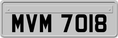 MVM7018