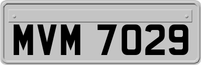 MVM7029