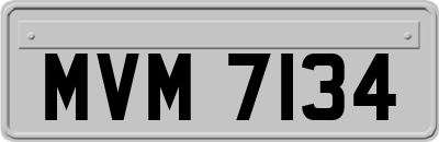 MVM7134