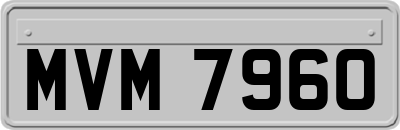 MVM7960