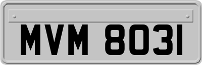 MVM8031