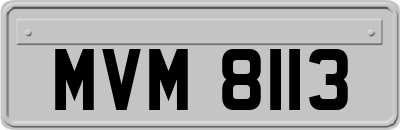 MVM8113