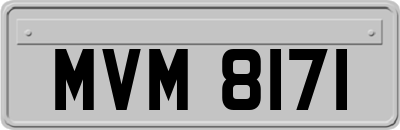 MVM8171