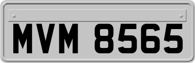 MVM8565