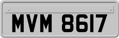 MVM8617