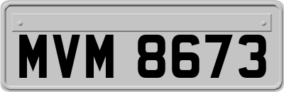 MVM8673