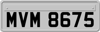 MVM8675