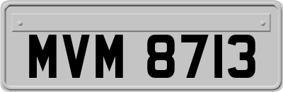 MVM8713