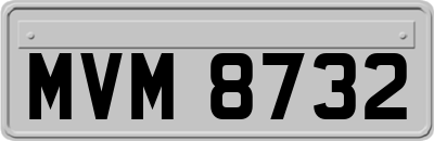 MVM8732