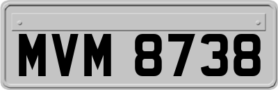 MVM8738