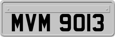 MVM9013