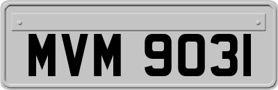 MVM9031