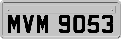 MVM9053