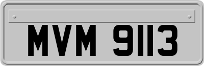 MVM9113