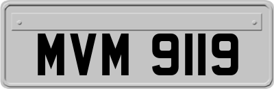 MVM9119