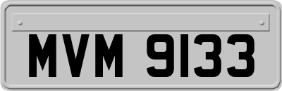 MVM9133