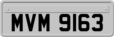 MVM9163