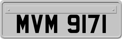 MVM9171