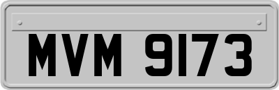 MVM9173