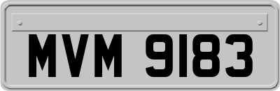 MVM9183