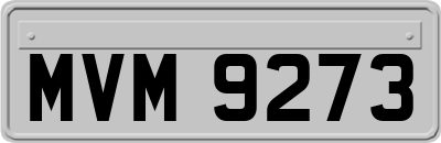 MVM9273