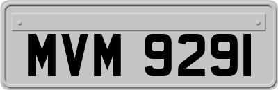 MVM9291