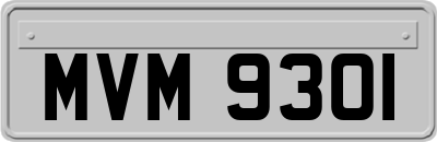 MVM9301