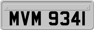 MVM9341