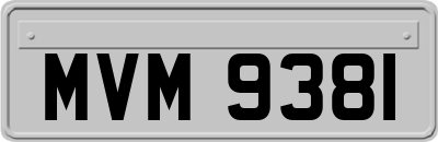 MVM9381