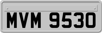 MVM9530