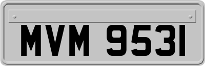 MVM9531