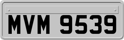 MVM9539