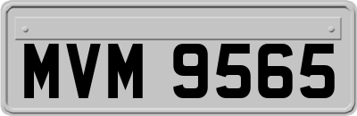 MVM9565