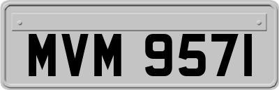 MVM9571