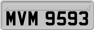 MVM9593