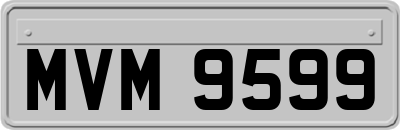 MVM9599